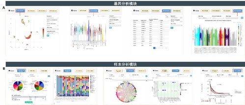 癌症单细胞表达图谱数据库CancerSCEM的发布与数据处理流程解析